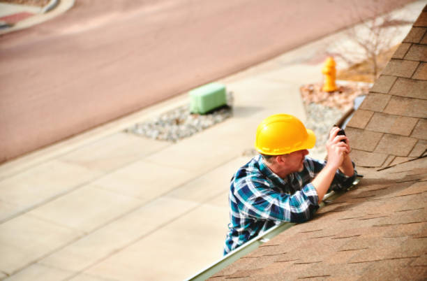 Best Roof Gutter Cleaning  in Roan Mountain, TN