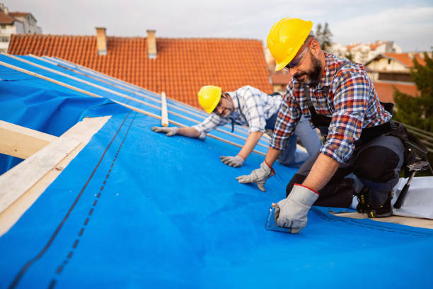 Quick and Trustworthy Emergency Roof Repair Services in Roan Mountain, TN