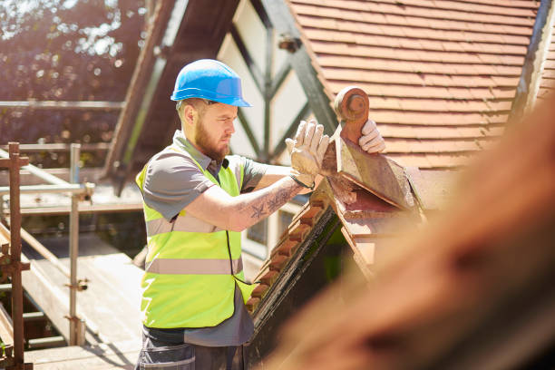 Best Roof Replacement Cost  in Roan Mountain, TN