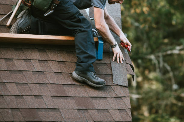 Best New Roof Installation  in Roan Mountain, TN