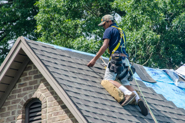 Best Gutter Installation and Roofing  in Roan Mountain, TN